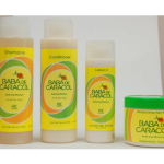 4 ITEMS HALKA BABA DE CARACOL SNAIL COMBO SHAMPOO HAIR MASK TREATMENT LEAVE IN